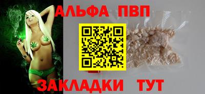спиды Гатчина