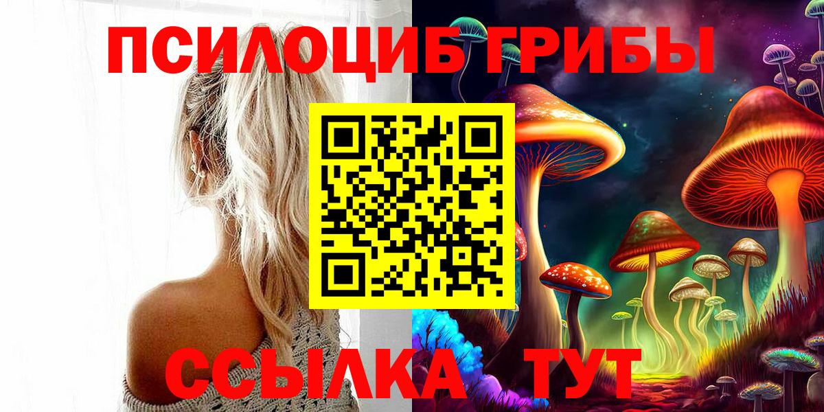 Псилоцибиновые грибы MAGIC MUSHROOMS  где найти   Орехово-Зуево  Вход с VPN 
